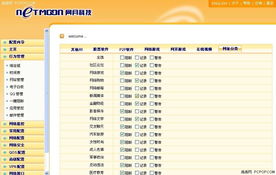 网月上网行为管理 助力中小企业高效管理网络的企业级解决方案
